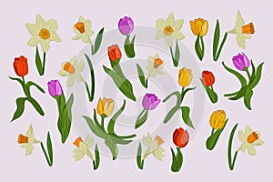 Set of spring hand drawn flat vector flowers