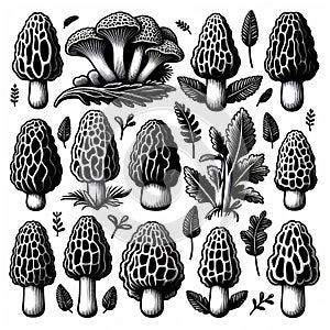 Set of spring morel mushroom icons.