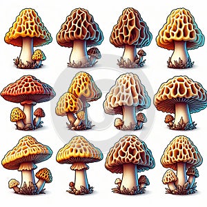 Set of spring morel mushroom icons.