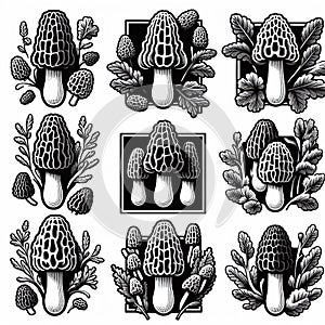 Set of spring morel mushroom icons.