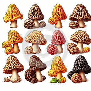 Set of spring morel mushroom icons.