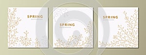 Set of spring social media square post templates. Japanese sakura cherry blossom. Gold and silver branches. Botany background.