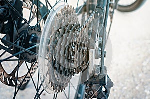 Set of sprockets on the rear wheel of a bicycle. The undercarriage of the bicycle