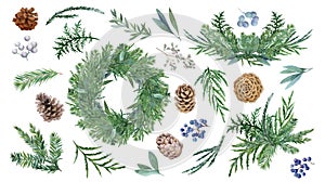 Set of spruce decorative elements with cones and berries