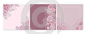 Set of square background with pink roses, peonies and grey leaves. Banners template with floral motif. Place for text. Hand drawn