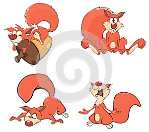 Set of squirrels cartoon