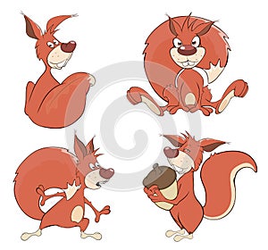 Set of squirrels cartoon