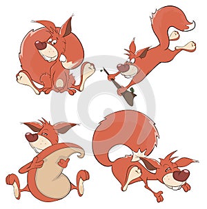 Set of squirrels cartoon photo