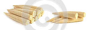 Set of stacks of corn on a white background. Baby corn isolated on white uniform background, clipping path, full depth