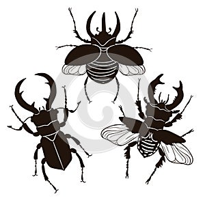 Set of stag beetle and rhinoceros beetle isolate on a white background. Vector graphics