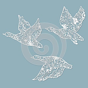 Set of stencils. Bird in flowers. Graphic vector decorative elements. Template suitable for laser cutting photo