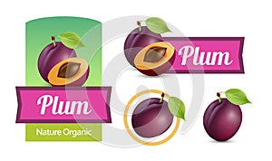 Set of sticker and labels with Plums isolated on white - Vector illustrations for Wine and Jam design package.