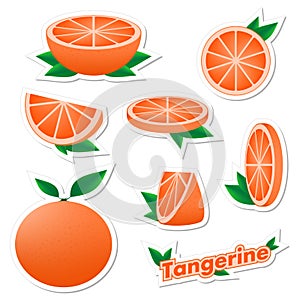 Set stickers of fresh citrus sliced and whole tangerine fruit with skin with green leaves on a white background. The concept of