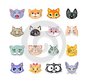 Set of stickers, icons, characters, funny cats, head, cute face.