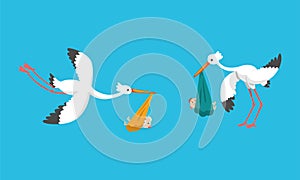 Set of Storks Carrying Newborn Babies, Beautiful Bird Stork Delivering Baby Vector Illustration
