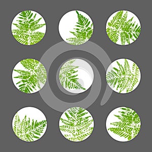 Set of story highlights covers with green fern leaves for organic natural blogs and social networks design