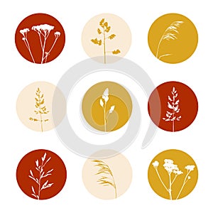 Set of story highlights covers with herbal silhouettes for blogs and social networks design 2