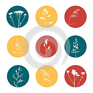 Set of story highlights covers with herbal silhouettes for blogs and social networks design