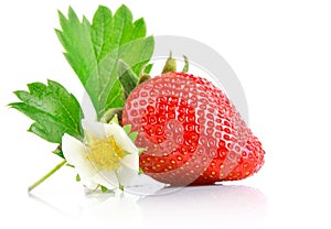 Set strawberry berry with cut and green leaf