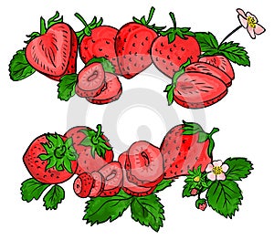 Set of strawberry fruit isolated on white. Different type of pieces.