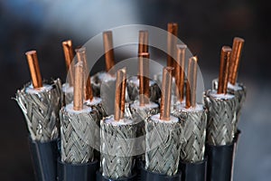 Set of stripped coaxial cable