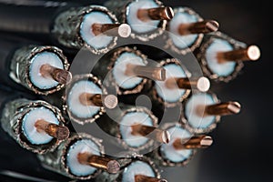 Set of stripped coaxial cable