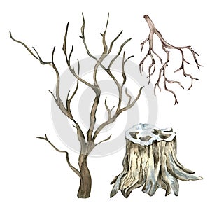 Set of stump, old bare tree watercolor illustration isolated on white background.