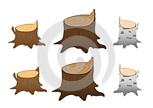 A set of stumps isolated on a white background. A stump with a broken branch. Stump of birch, oak, aspen, Rowan, spruce