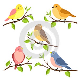Set of stylized birds sitting on branches. Image of birdie in simple style.