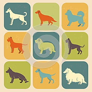 Set of stylized colored icons of dog breeds