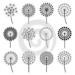 Set of stylized dandelions