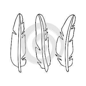 Set of stylized feathers isolated on a white background.vector Doodle illustration handmade