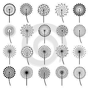 Set of stylized flowers dandelions