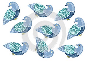 A set of stylized illustrations of pigeons birds randomly arranged on a white background. Printmaking style.