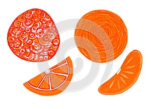 Set of stylized images of citrus fruits. Orange on a white background.