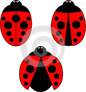 A set of stylized ladybirds