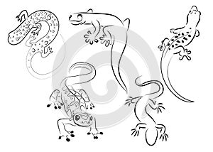 Set of stylized lizard. A collection of decorative lizards. Black white reptile illustration. Vector logo lizards photo
