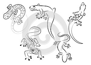 Set of stylized lizard. A collection of decorative lizards. Black white reptile illustration. Vector logo lizards