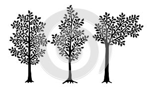 Set of stylized oaks isolated on white background. Can be used for interior decoration