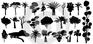 Set of subtropical trees and shrubs. Isolated vector silhouette on a white background photo