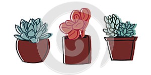 A set of succulent drawings