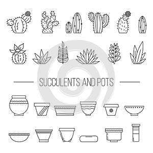 Set of succulent plants, cactuses and pots..Linear botanical vector elements.