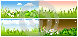 Set summer background