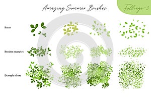 Set of summer vector foliage ecology brushes - silhouettes of summer leaves, foliage of trees, different greenery types