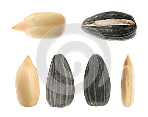 Set of sunflower seeds on white background