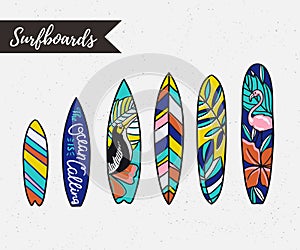 Set of surfboards with tropical plants and birds. Vector objects.