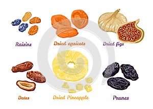 Set of sweet dry fruit snacks. Vector illustration in flat style.