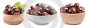 Set of sweet edible chestnuts in bowls on white background. Banner design