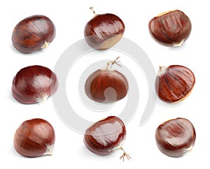 Set of sweet edible chestnuts on white background