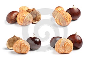 Set of sweet edible chestnuts on white background